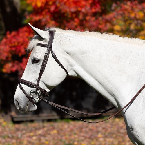 Equinavia Valkyrie Fancy Stitched Jumper Bridle & Rubber Reins - Chocolate Brown