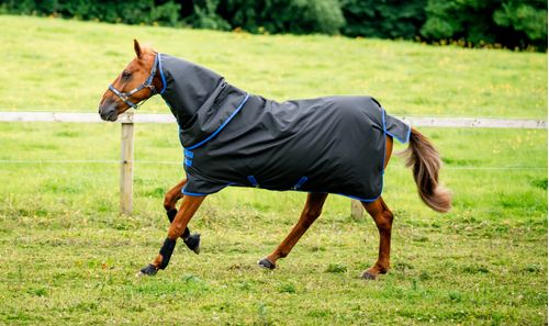 Amigo Ripstop 900 Plus 0g - Black/Classic Blue