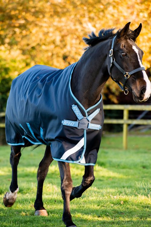 Amigo Bravo 12 Original Turnout 100g - Navy/Turquoise/Aqua/Blue