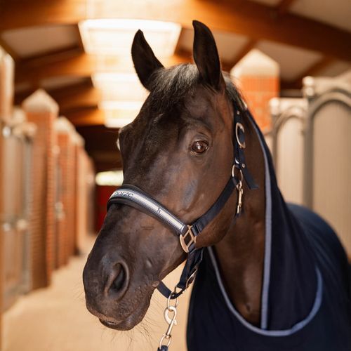 Horze Eternal Gaze Halter & Lead Set - Polar Blue