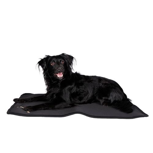 Back on Track Dog Bed Liner - Black