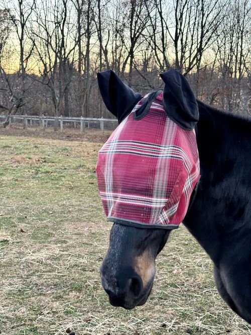 Kensington Signature Fly Mask w/Web Trim, Ears and Forelock Hole - Merlot