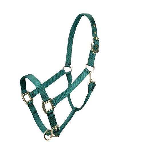 Shires ARMA Adjustable Nylon Halter - Hunter