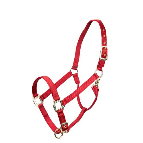 Shires ARMA Adjustable Nylon Halter - Red