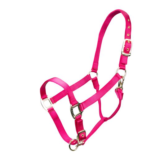 Shires ARMA Adjustable Nylon Halter - Raspberry