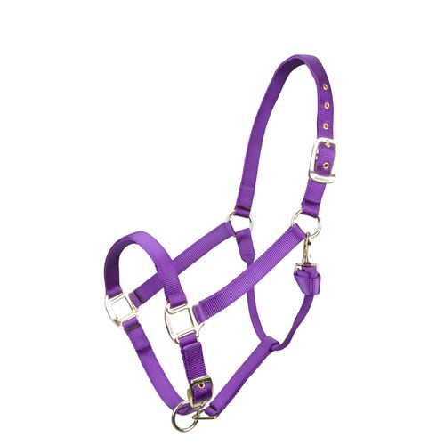 Shires ARMA Adjustable Nylon Halter - Purple