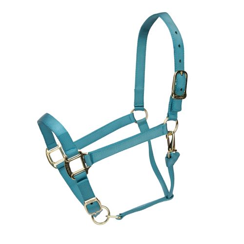 Shires ARMA Adjustable Nylon Halter - Teal