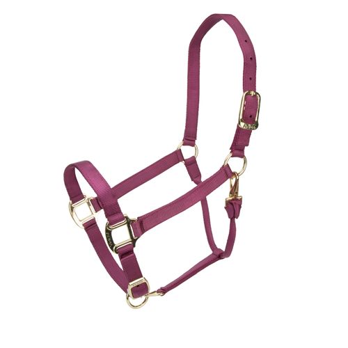 Shires ARMA Adjustable Nylon Halter - Burgundy