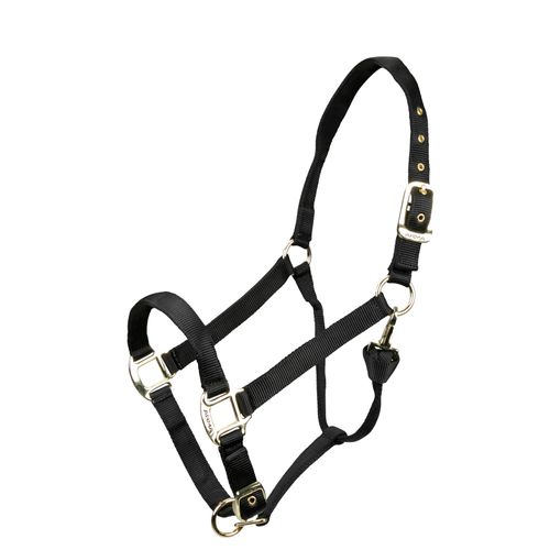 Shires ARMA Adjustable Nylon Halter - Black