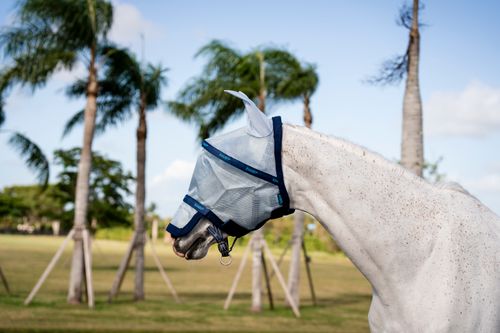 Rambo Fly Mask Plus - Azure Blue/Navy/Electric Blue