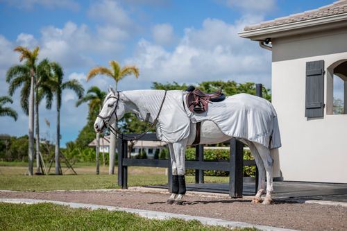 Amigo Flyrider - Silver/Titanium Grey/Silver