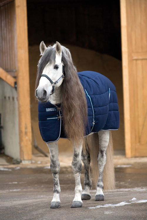 BARGAIN: Rambo Stable Blanket 200g - 60 - Navy/Navy/White