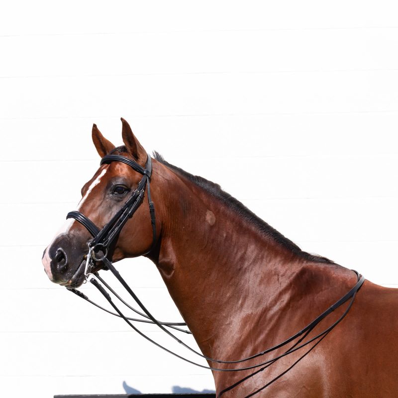 Bride Equinavia Saga Avec Bande De Nez Fantaisie Cousue + Rênes De Chasse - Neuve