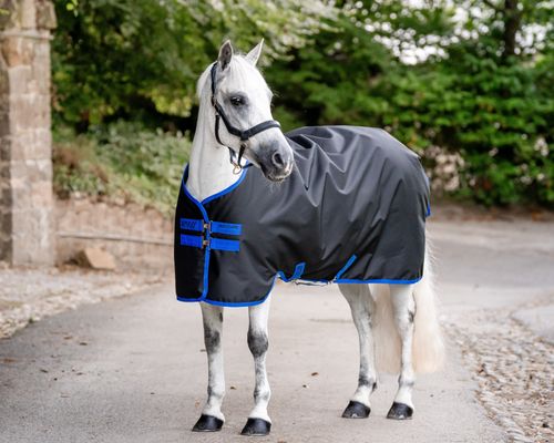 Amigo Ripstop 900D Pony Turnout 0g - Black/Classic Blue