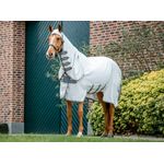 Main