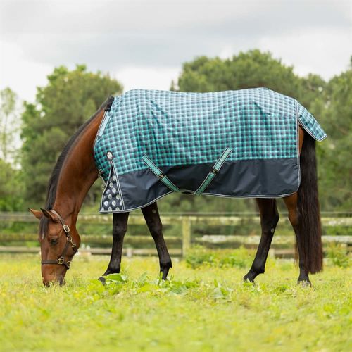 Equinavia Norse Turnout Sheet - Navy/Turquoise