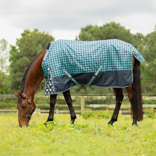 Equinavia Norse Light Weight Turnout Blanket 100g - Navy/Turquoise