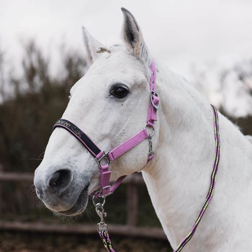 Horze Graffiti Pony Halter and Lead Set - Begonia Pink