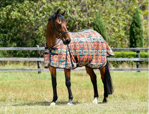 Weatherbeeta Comfitec Essential Mesh II Standard Neck - Western Sunset Print