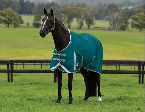Weatherbeeta Comfitec Plus Dynamic II Standard Neck Lite - Teal Green/Stone/Teal Green