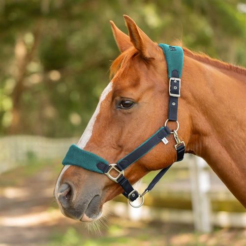 Equinavia Saga Fleece Padded Breakaway Halter - Navy/Turquoise
