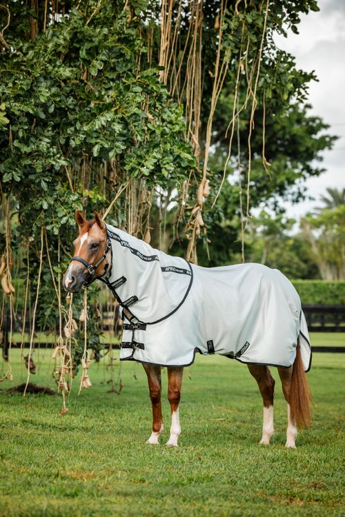 Amigo Bug Rug Stock Horse Plus - Silver/Black