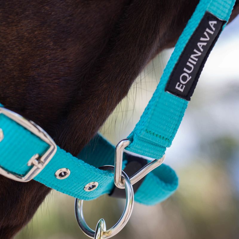 Equinavia Valkyrie Ultra Fleece Breakaway Halter - Turquoise/Black ...