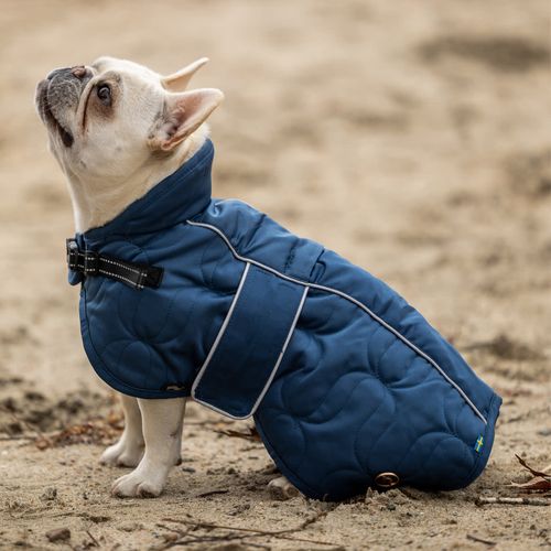 Back on Track Deep Nights Dog Coat - Blueberry