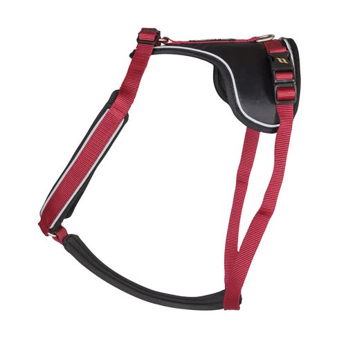 Back on Track Max Dog Harness - Wine Red