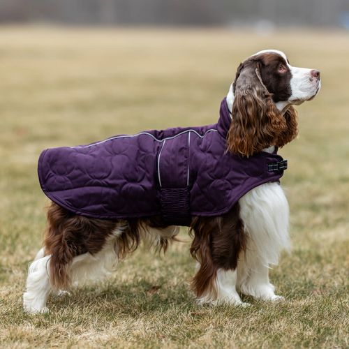 Back on Track Deep Nights Dog Coat - Plum