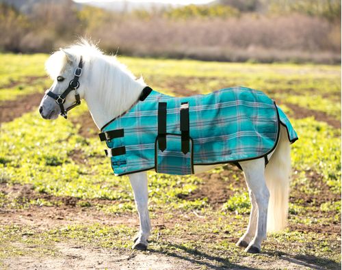 Kensington Textilene Mini Protective Fly Sheet - Atlantis