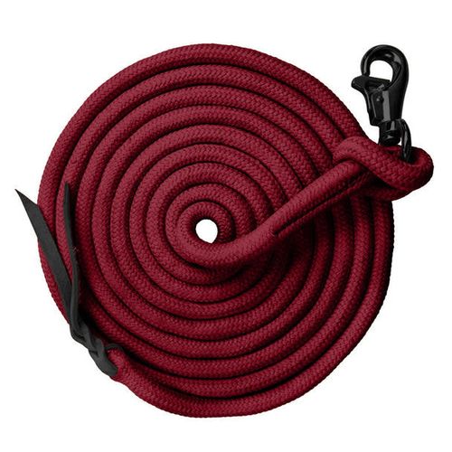 Kensington 25ft Solid Color Clinician Training Lead - Red/Black Nickle