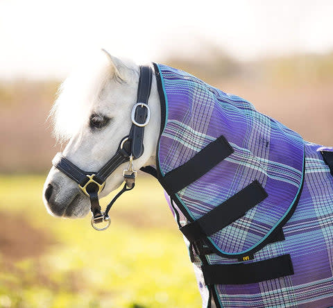 Kensington Mini/Pony Protective Neck Piece - Lavender Mint