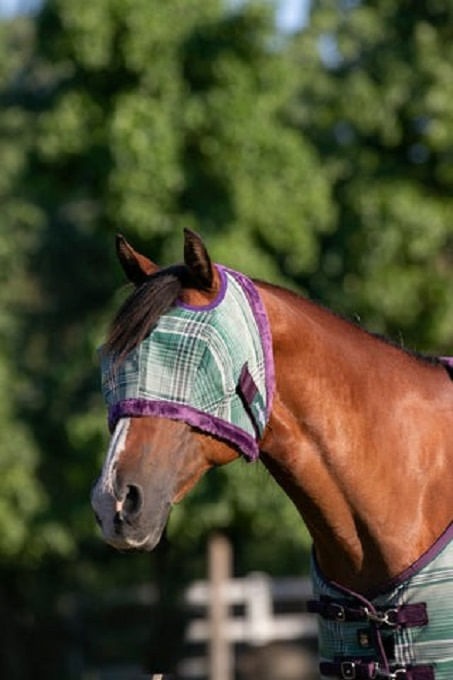 Kensington Fly Mask w/Fleece Trim & Dual Ear Holes - Imperial Jade