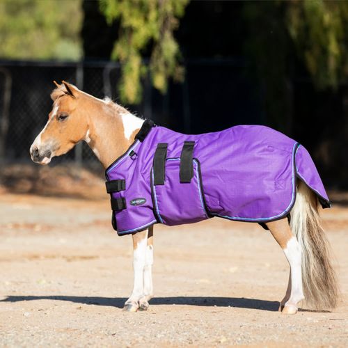 Kensington Signature Mini Medium Weight Turnout - Purple