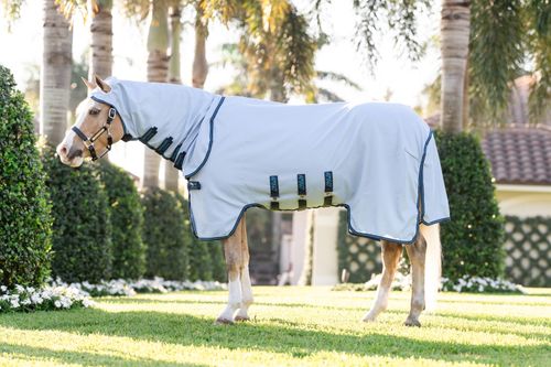 Amigo Ripstop Pony Hoody - Azure Blue/Navy/Electric Blue