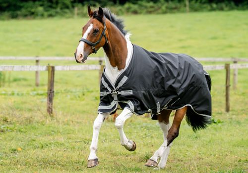 Amigo 1200D XL Turnout 50g - Black/Titanium Grey/Silver