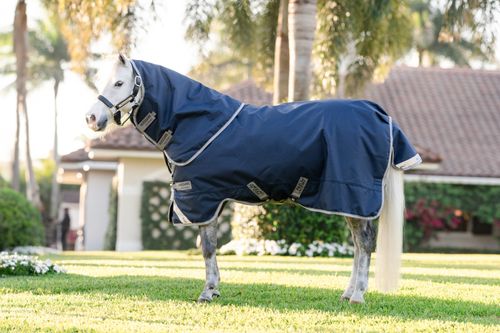 Amigo 1200D Plus Pony Turnout 50g - Navy/Titanium Grey/Silver