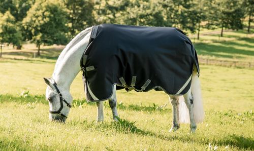 Rambo 1680D Turnout 0g - Black/Thunderstorm Grey/Silver
