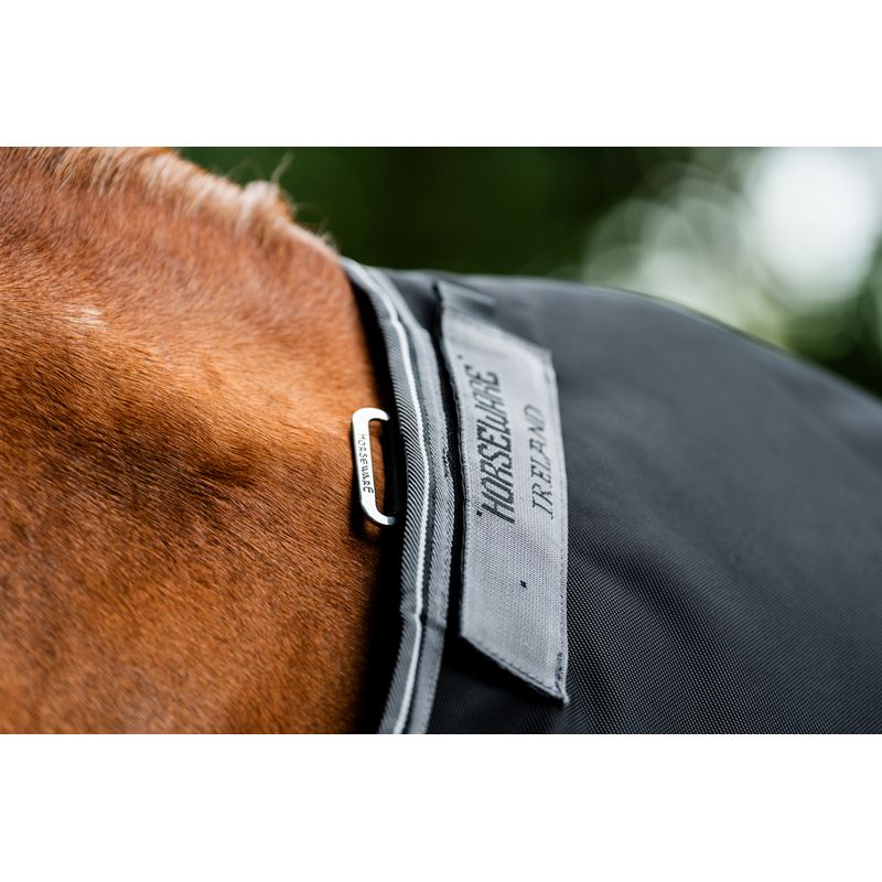 Main
