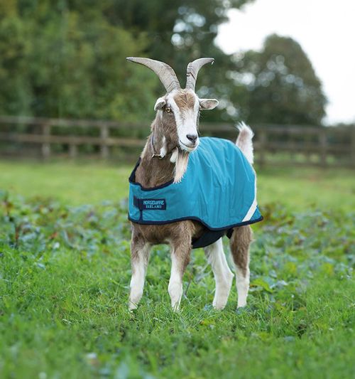 Horseware Goat Coat 100g - Delphinium Blue/Navy