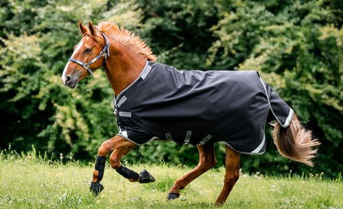Rambo 1680D Turnout 50g - Black/Thunderstorm Grey/Silver