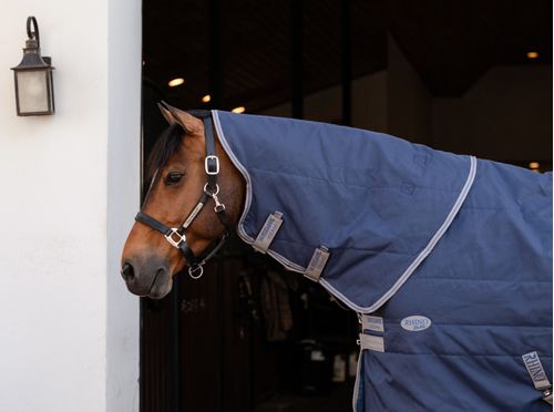 Rhino Stable Hood 200g - Navy/Titanium Grey/Classic Blue