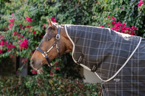 Rhino Stable Hood 100g - Black/Grey/White/Gray