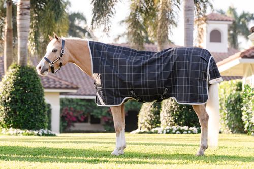 Rhino Wug Pony Turnout 250g VL - Black/Grey/White/Gray