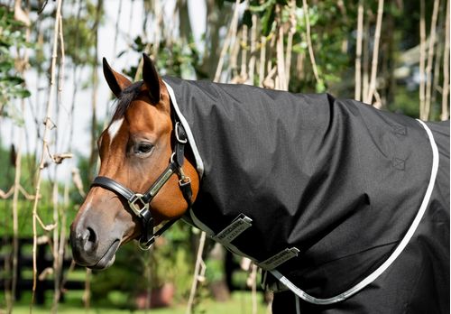 Amigo Ripstop 900D Stock Horse Turnout Hood 150g - Black/Silver
