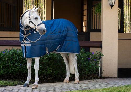 Amigo Ripstop Insulator Plus Pony Stable 200g - Navy/Titanium Grey