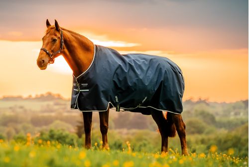 Amigo Ripstop 900D Turnout 200g - Witney Navy