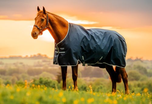 Amigo Ripstop 900D Pony Turnout 200g - Witney Navy