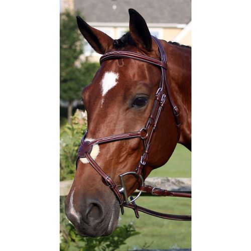 OUTLET: Nunn Finer Milano Bridle - Cob - Havana
